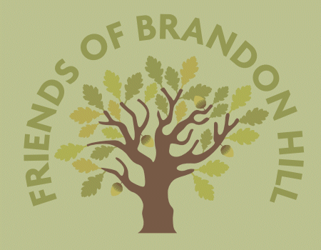 Friends of Brandon Hill